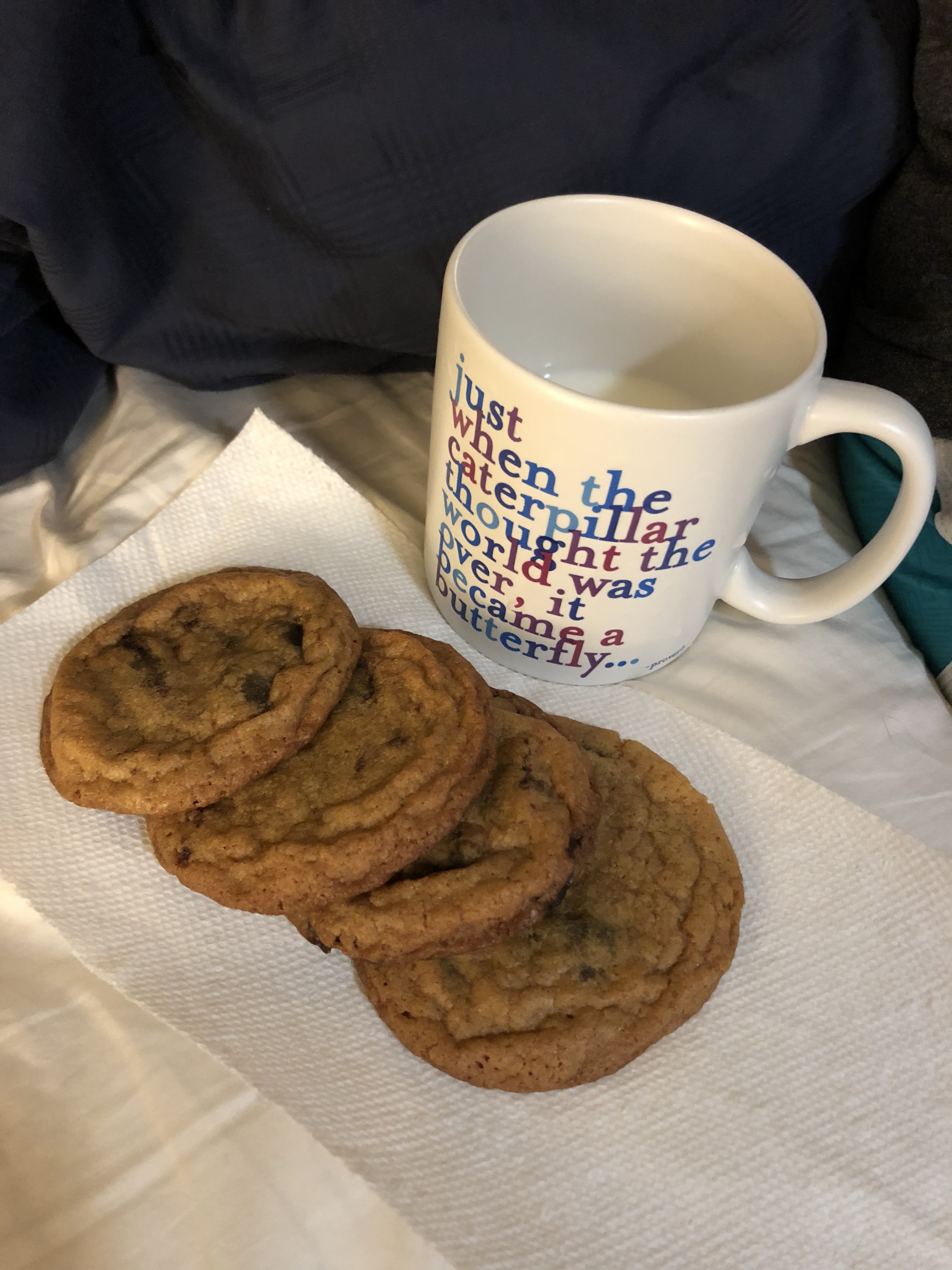 Image of Chocolate Chip Cookie